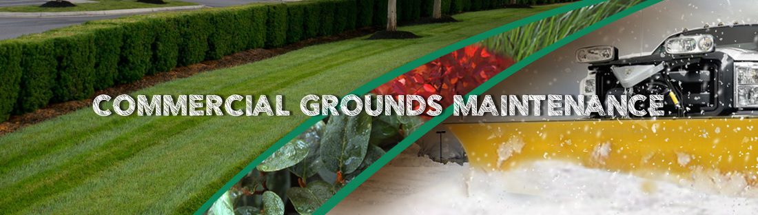commercial grounds maintenance