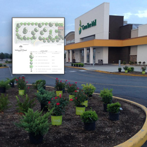 commercial landscape design and installation